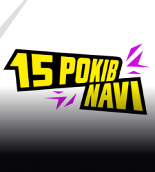 15 років NAVI